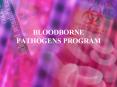 BLOODBORNE PATHOGENS PROGRAM PowerPoint PPT Presentation