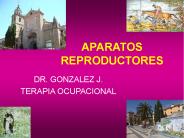 APARATOS REPRODUCTORES