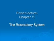 PowerLecture: Chapter 11