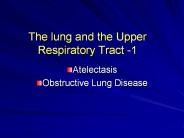 The lung and the Upper Respiratory Tract -1