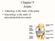 Chapter 9 Joints