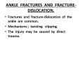ANKLE FRACTURES AND FRACTURE-DISLOCATION. PowerPoint PPT Presentation