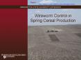 Wireworm Control in Spring Cereal Production PowerPoint PPT Presentation