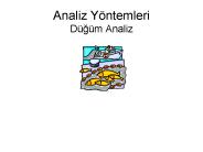 Analiz Y