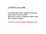Diapositiva 1