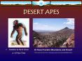 DESERT APES PowerPoint PPT Presentation