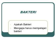 BAKTERI