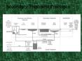 Secondary Treatment Processes PowerPoint PPT Presentation