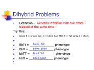 Dihybrid Problems