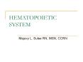 HEMATOPOIETIC SYSTEM PowerPoint PPT Presentation