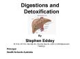 Digestions and Detoxification PowerPoint PPT Presentation