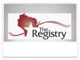 The Registry: Your Path to PowerPoint PPT Presentation