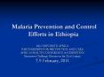 Malaria Prevention and Control Efforts in Ethiopia PowerPoint PPT Presentation