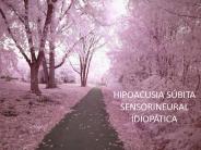 Diapositiva 1