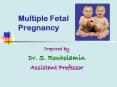 Multiple Fetal Pregnancy PowerPoint PPT Presentation