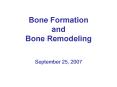 Bone Formation and Bone Remodeling PowerPoint PPT Presentation