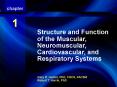 Structure and Function of the Muscular, Neuromuscular, Cardiovascular, and Respiratory Systems PowerPoint PPT Presentation