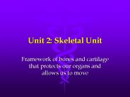 Unit 2: Skeletal Unit