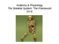 Anatomy PowerPoint PPT Presentation
