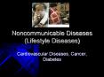 Noncommunicable Diseases (Lifestyle Diseases) PowerPoint PPT Presentation