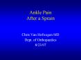 Ankle Pain After a Sprain PowerPoint PPT Presentation