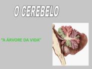 O CEREBELO