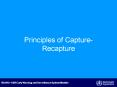Principles of Capture-Recapture PowerPoint PPT Presentation