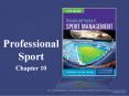 Professional Sports PowerPoint PPT Presentation