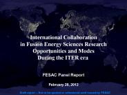FESAC Panel Report