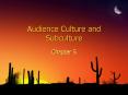 Audience Culture and Subculture PowerPoint PPT Presentation
