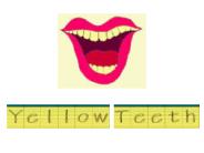 Questions and Issues to Discuss: