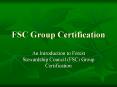 FSC Group Certification PowerPoint PPT Presentation
