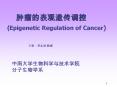 ????????? (Epigenetic Regulation of Cancer) PowerPoint PPT Presentation