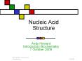 Nucleic Acid Structure PowerPoint PPT Presentation