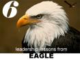 leadership lessons from EAGLE PowerPoint PPT Presentation