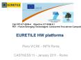 EURETILE HW platforms PowerPoint PPT Presentation