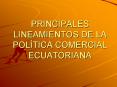 PRINCIPALES LINEAMIENTOS DE LA POL PowerPoint PPT Presentation