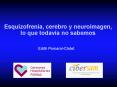 Esquizofrenia, cerebro y neuroimagen, lo que todav PowerPoint PPT Presentation