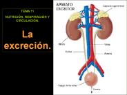 Diapositiva 1