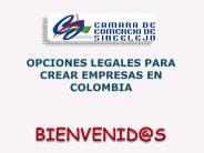 OPCIONES LEGALES PARA CREAR EMPRESAS EN COLOMBIA