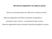 Mecanismos epigeneticos da regulacao genica