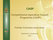 Comprehensive Agriculture Support Programme (CASP)