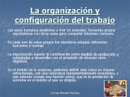 La organizaci