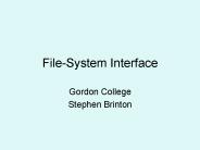 File-System Interface