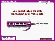 le plan webmarketing id