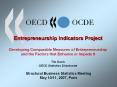 Entrepreneurship Indicators Project  Developing Comparable Measures of Entrepreneurship and the Factors that Enhance or Impede It Tim Davis OECD Statistics Directorate  Structural Business Statistics Meeting  May 10/11, 2007, Paris PowerPoint PPT Presentation