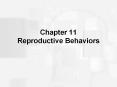 Chapter 11 Reproductive Behaviors PowerPoint PPT Presentation