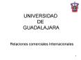 UNIVERSIDAD DE GUADALAJARA PowerPoint PPT Presentation