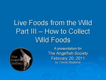 Live Foods from the Wild Part III 