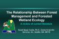 The Relationship Between Forest Management and Forested Wetland Ecology PowerPoint PPT Presentation